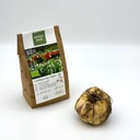 Fritillaria imp. Rubra - BIO